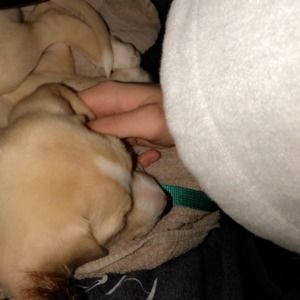 Meet your Posher, Taylor